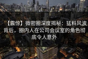【震惊】微密圈深度揭秘：猛料风波背后，圈内人在公司会议室的角色彻底令人意外