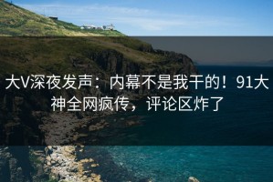 大V深夜发声：内幕不是我干的！91大神全网疯传，评论区炸了