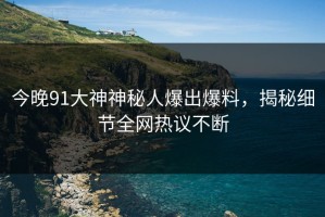 今晚91大神神秘人爆出爆料，揭秘细节全网热议不断