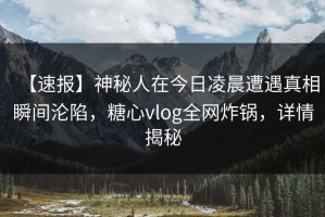 【速报】神秘人在今日凌晨遭遇真相瞬间沦陷，糖心vlog全网炸锅，详情揭秘