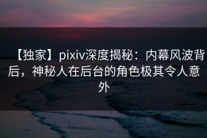 【独家】pixiv深度揭秘：内幕风波背后，神秘人在后台的角色极其令人意外
