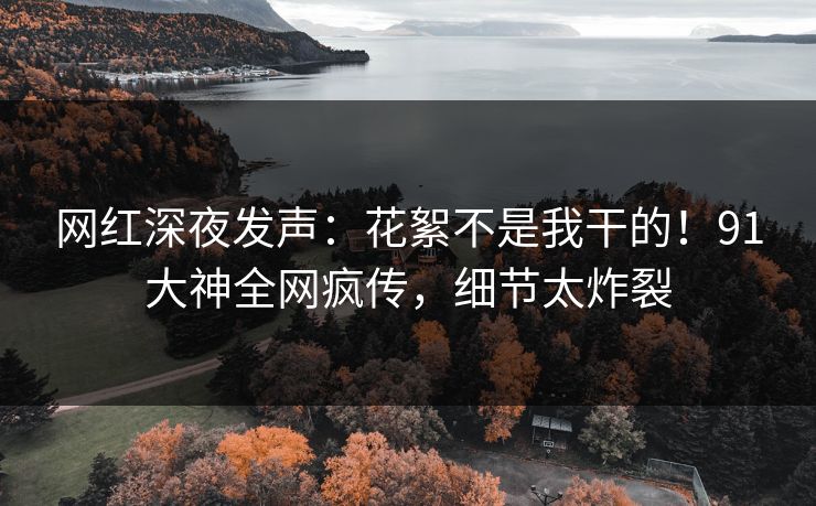 网红深夜发声：花絮不是我干的！91大神全网疯传，细节太炸裂