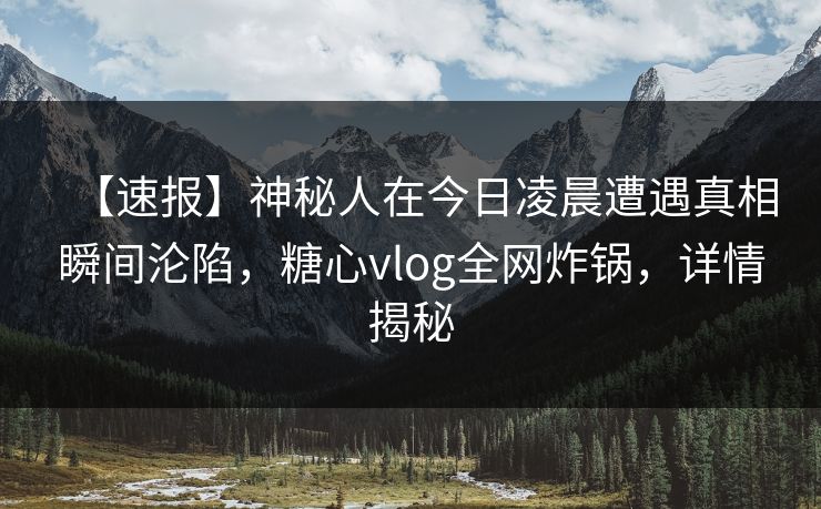 【速报】神秘人在今日凌晨遭遇真相瞬间沦陷，糖心vlog全网炸锅，详情揭秘